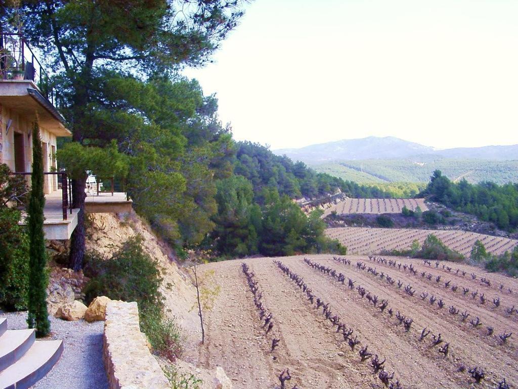 Can Maginet Apartment Avinyonet del Penedes Exterior photo